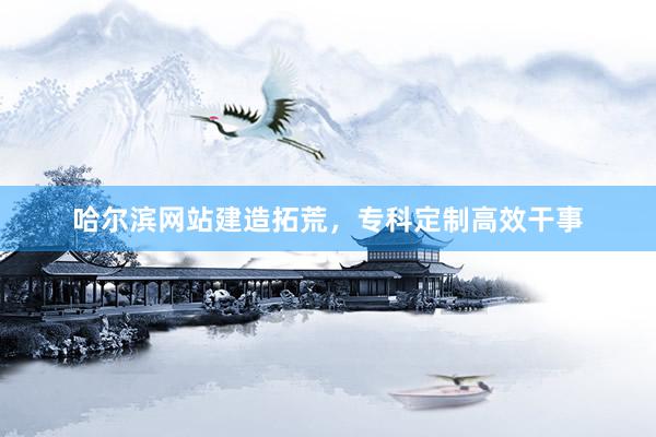 哈尔滨网站建造拓荒，专科定制高效干事